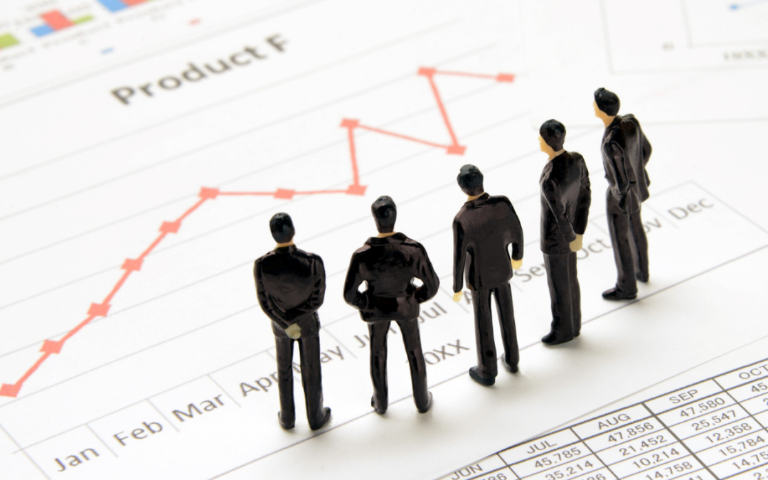 Consultoria Financeira para Pequenas Empresas: O guia prático para organizar contas e multiplicar seu lucro real