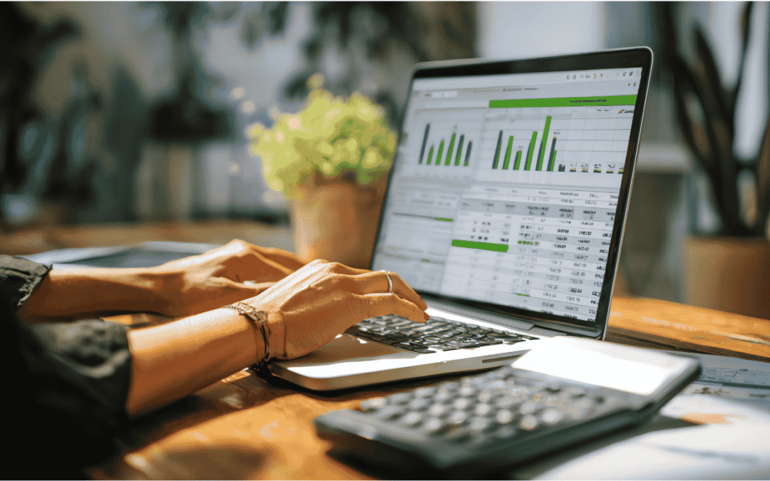 Fluxo de caixa diário: planilha vs sistema — Qual a melhor escolha para sua PME?